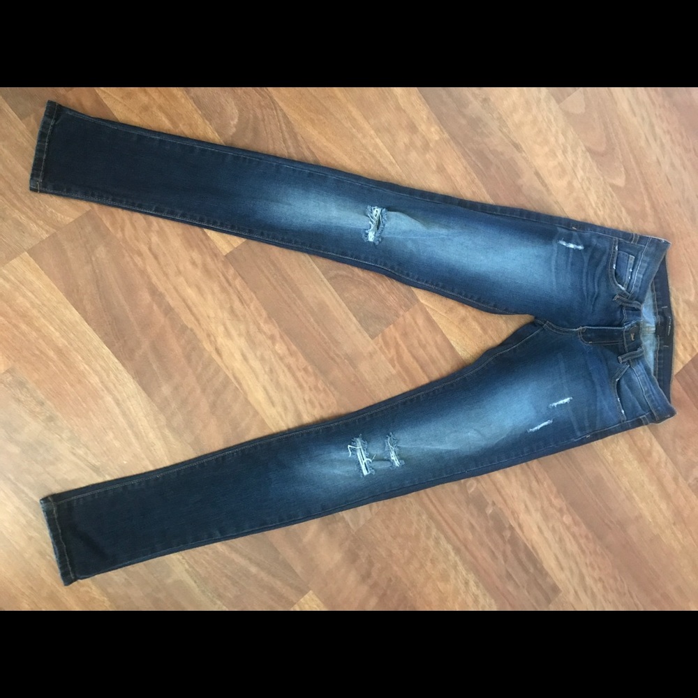 Flying Monkey - image 1